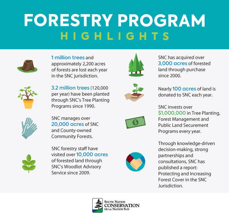 Forestry Program Highlights include stats on trees planted and lost, private woodlots visited, number of public land managed, details on land donations and community partnerships. 