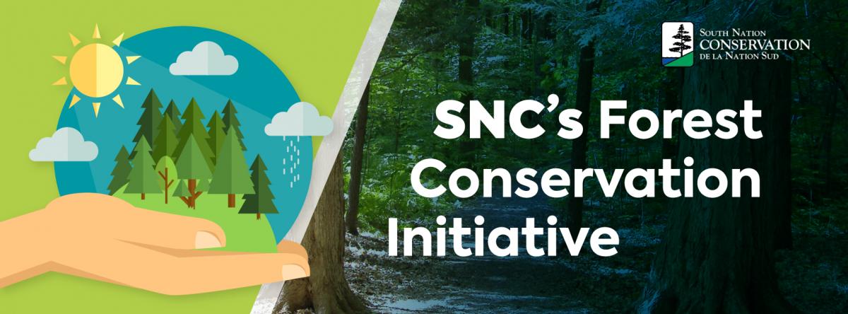 South Nation Conservation's Forest Conservation Initiative