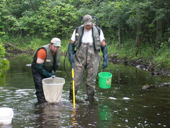 Évaluation des cours d'eau