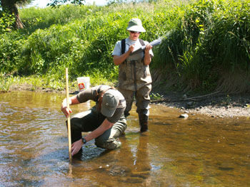 Water Levels and Precipitation