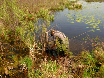 Monitoring Data