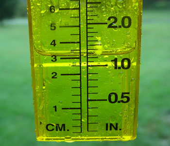 Rain Gauge Network