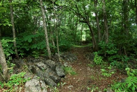 Reveler Conservation Area, Crysler, Ontario