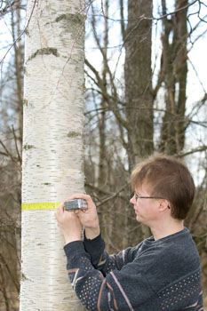 Forestry Research