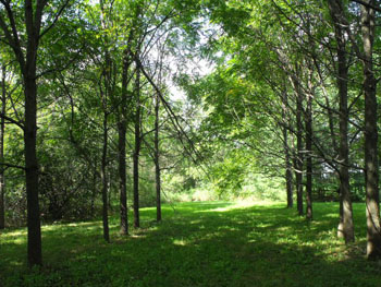 Oak Valley Pioneer Park, Winchester Springs, Ontario