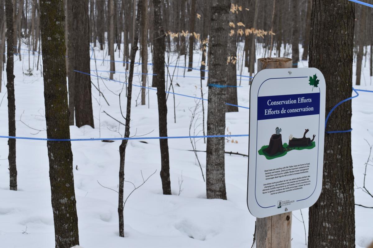 Interpretive Trail Signage at Oschmann Forest, Ormond 