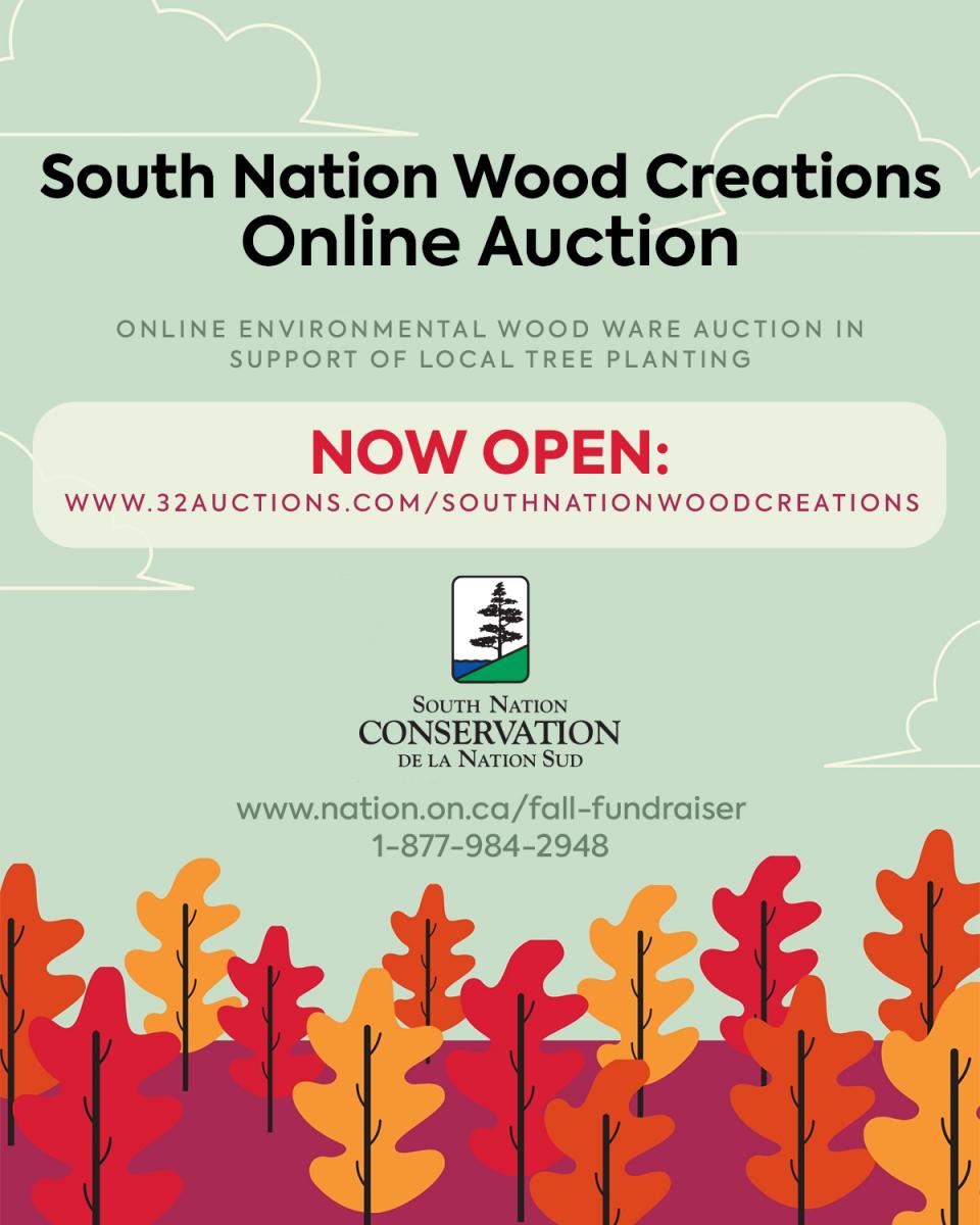 A Poster for South Nation Wood Creations Online Auction in support of tree planting. The top of the poster has a light sage sky with white clouds, and the bottom of the poster has a purple ground with red, orange, and yellow trees.