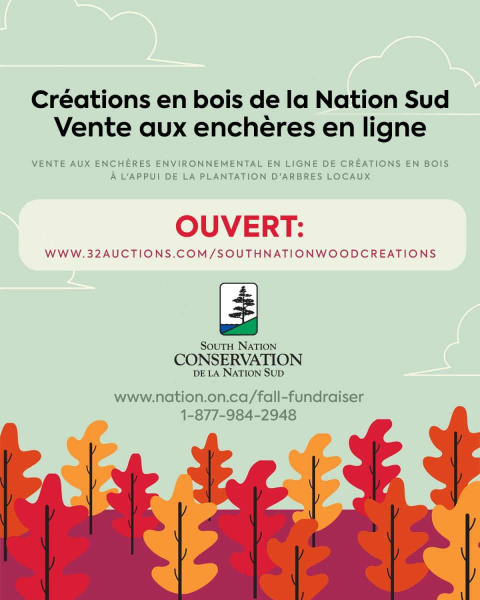 Une affiche pour la vente aux enchères en ligne de South Nation Wood Creations à l'appui de la plantation d'arbres. Le haut de l'affiche a un ciel sauge clair avec des nuages blancs, et le bas de l'affiche a un fond violet avec des arbres rouges, oranges et jaunes.