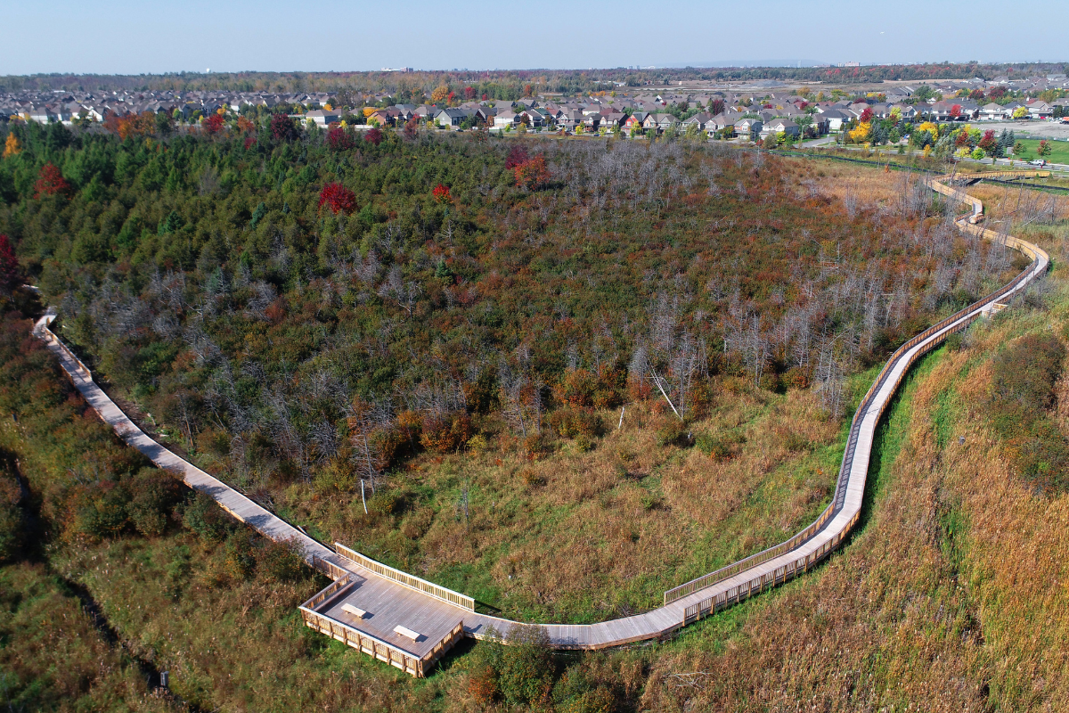 Findlay Creek Boardwalk drone picture