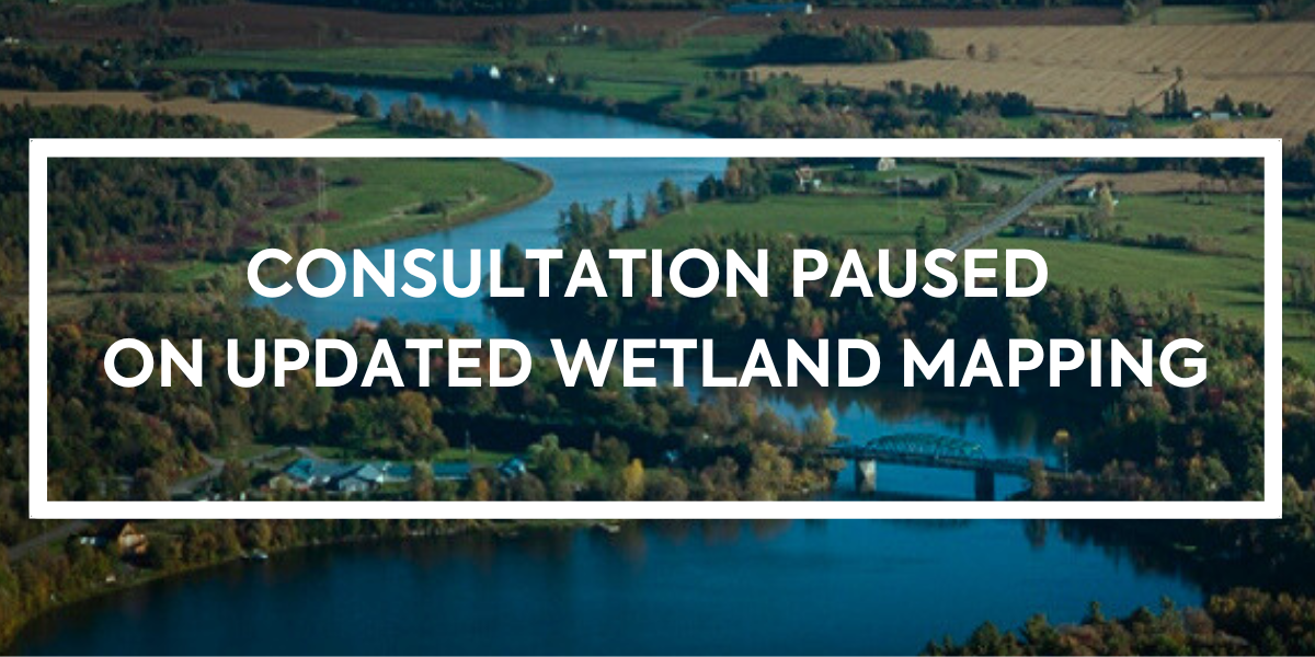 Consultations Paused Banner