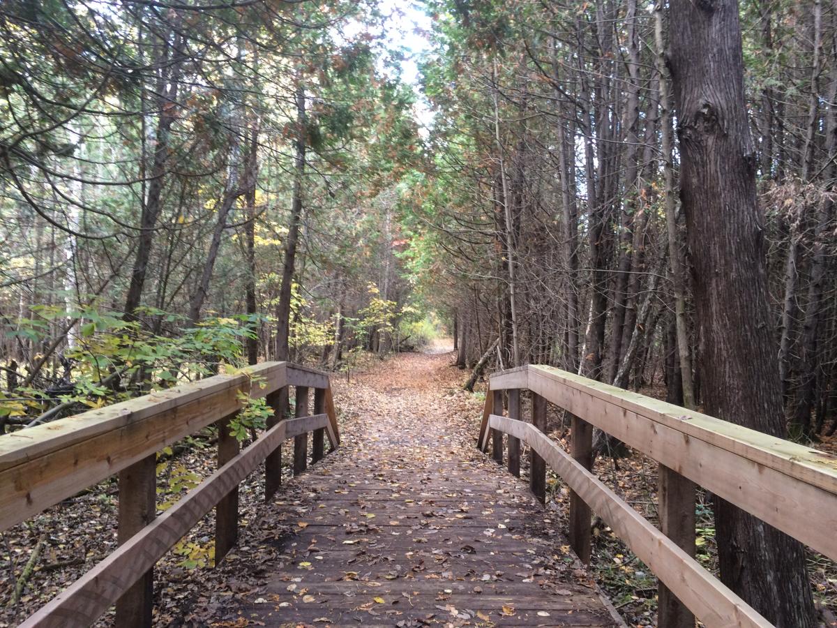 Warwick Conservation Area Bridge