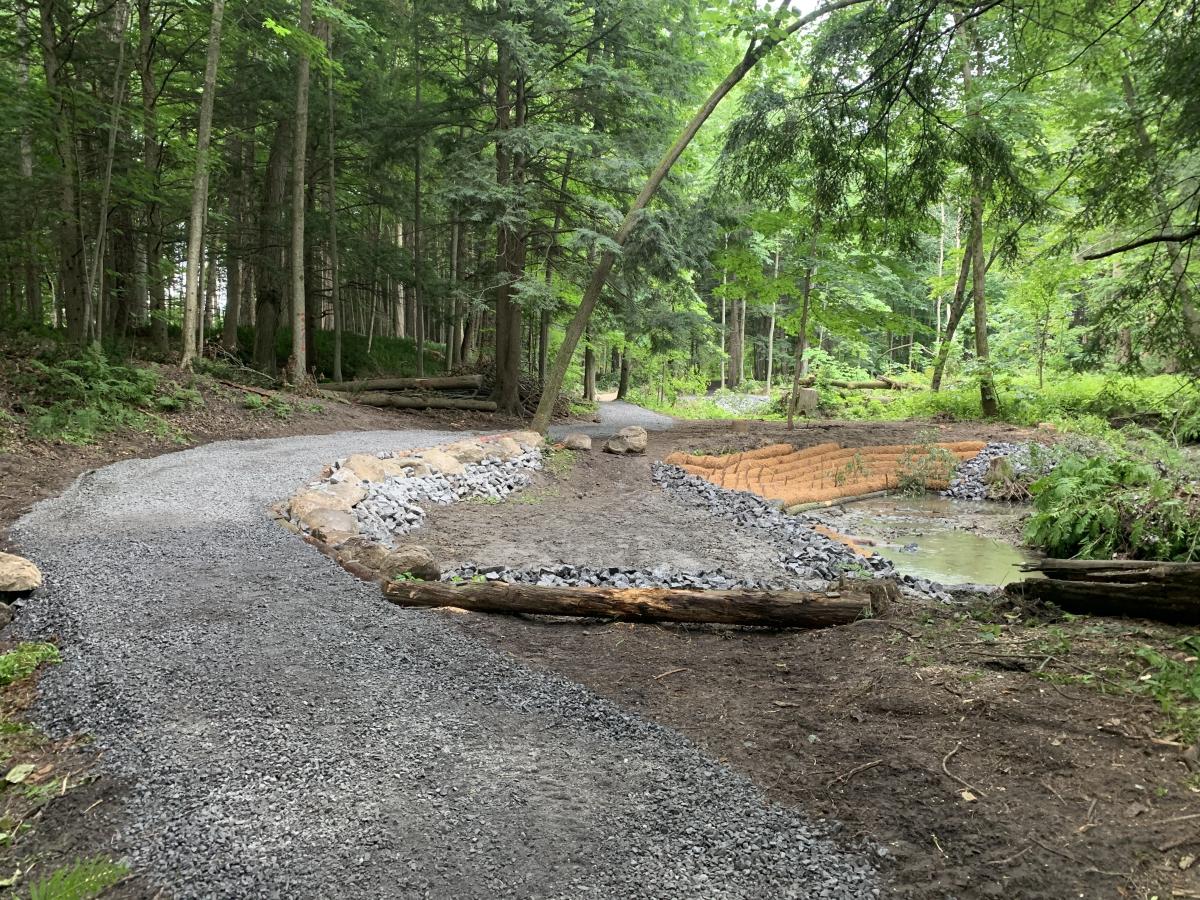 J. Henry Tweed Conservation Area Shoreline Restoration