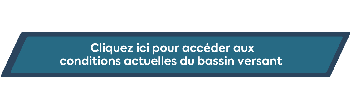 Voir la mise &agrave; jour des conditions du bassin versant &mdash; surveillance des crues (ouvre dans un nouvel onglet)