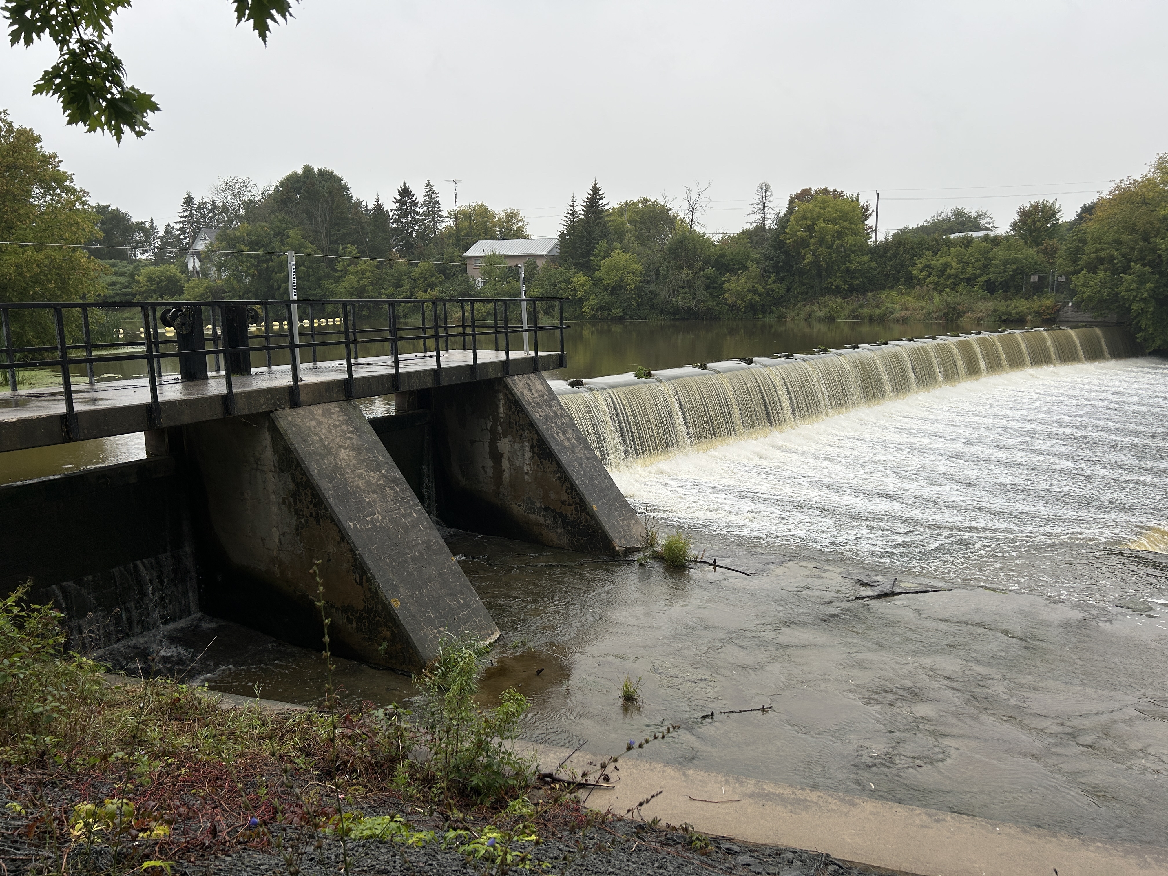 crysler dam in summer 2026