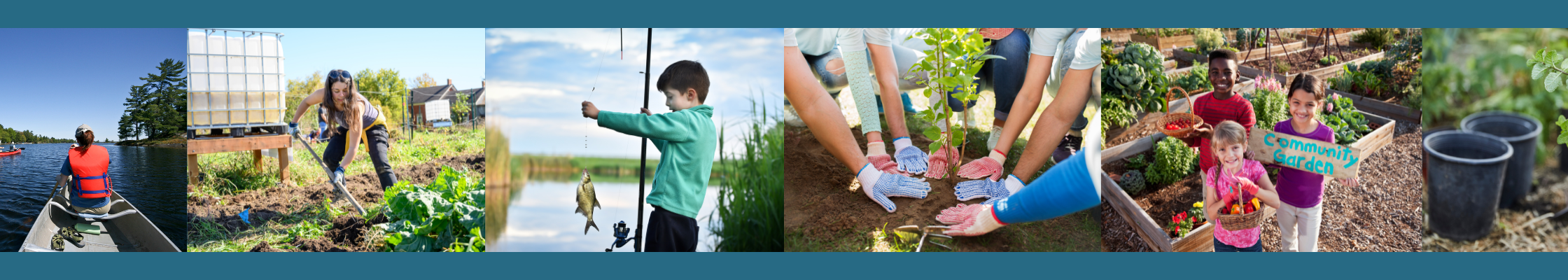 webpage banner - grants