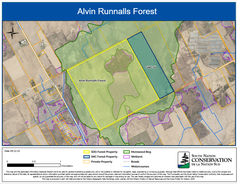 Alvin Runalls Forest Map